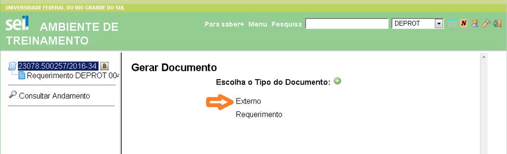 Para assinar, selecione o cargo/função pelo qual está assinando. Digite a senha, mesma do portal, e dê ENTER. Em seguida, aparecerá o documento assinado no processo.