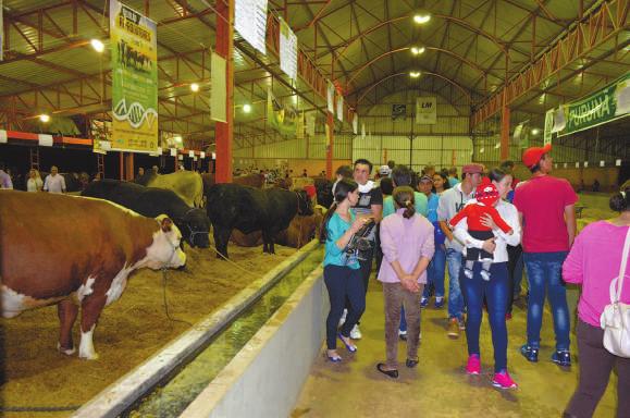 Pavilhão do Agronegócio e Parque de Diversão, fechando o