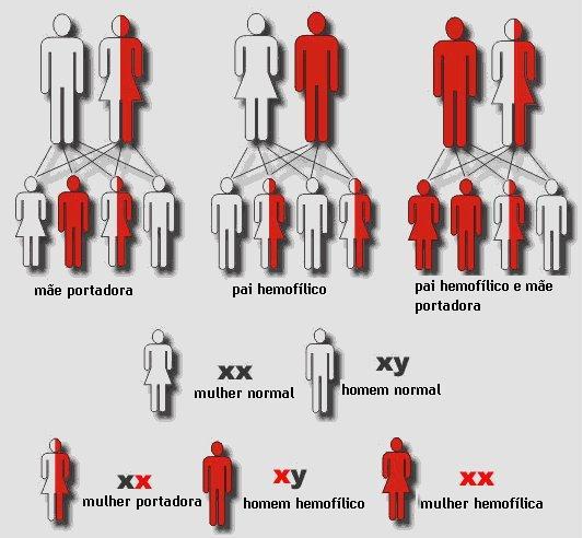 certas doenças como a Hemofilia e o Daltonismo ( doenças que