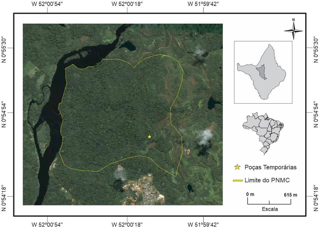 anuros de médio porte, generalistas, terrestres e diurnos que habitam a serrapilheira de florestas primárias e secundárias (ÁVILA et al., 2010).