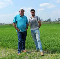 Integração, 882 - Vila Brasil - Guaratinguetá Meio Ambiente Clima e mercado preocupam produtores de arroz Ainda na fase de plantio das sementes, produtores de arroz do Vale do Paraíba agora contam