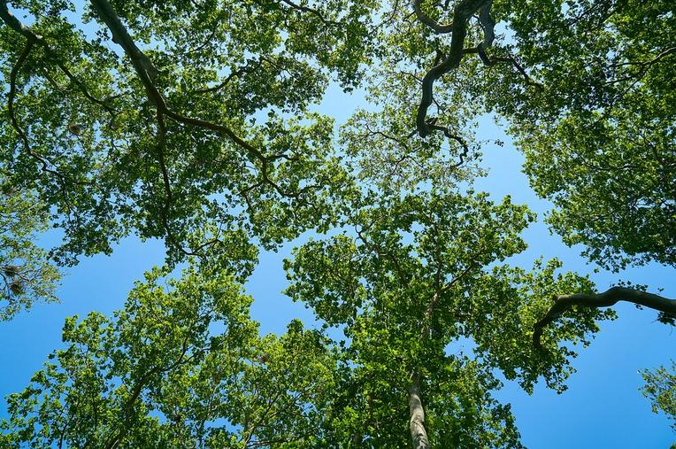 SETOR DE SUSTENTABILIDADE E GESTÃO AMBIENTAL RESÍDUOS SÓLIDOS SAÚDE DO TRABALHADOR E