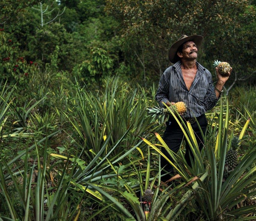 20 5. PEQUENOS PROPRIETÁRIOS O Estado do Acre, por exemplo, captou recursos do Fundo Amazônia para realizar o cadastramento de imóveis da agricultura familiar com até 4 módulos fiscais, resultando em