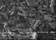 As micrografias das amostras em análise mostraram morfologias de superfícies bastante rugosas e fibrosas, como observa-se nas Fig.