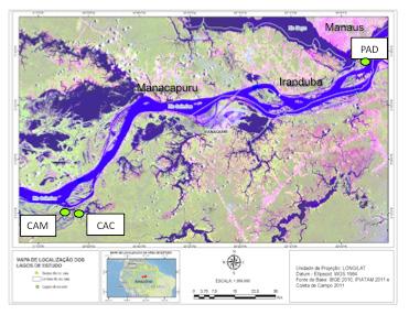 igarapés oriundos da rede de drenagem. Os lagos são conhecidos como Padre (S 03 19 66,1/W 59 93 14,8), Camaleão (S 03 66 43,23/60 90 98,16) e lago Cacauzinho (S 03 66 86,14/W 60 87 11,98) (Fig. 1).