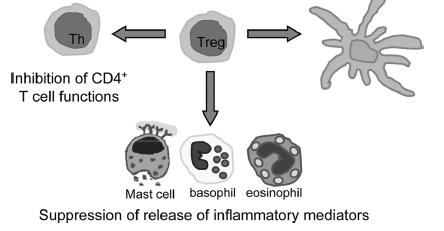 Imunoterapia: Treg e APC Verhagen J et