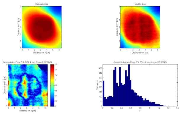 Figura 3.29 - Gráfico de Índice gama (Γ) analisado entre duas distribuições de dose: medido e planejado (calculado).