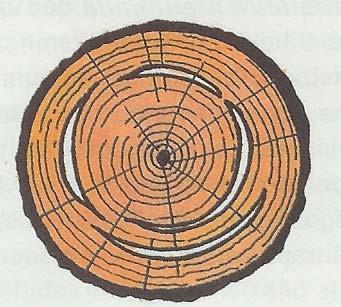 FENDAS E FISSURAS Já anteriormente referimos, uma das grandes desvantagens da madeira é a da maneira como ela fendilha.