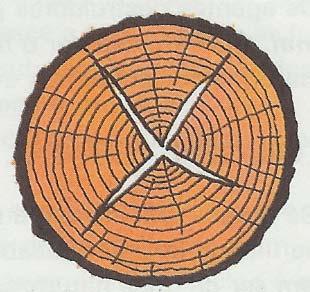 De forma pouco visível, as fissuras internas são provocadas pelo vento, ou por pancada da árvore no acto da queda, ou ainda por faíscas eléctricas, etc.