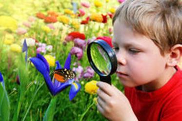 Naturalista Habilidade para reconhecer e se sensibilizar pelo mundo natural, pela flora e fauna; Capacidade para discernir, identificar e classificar plantas e animais;