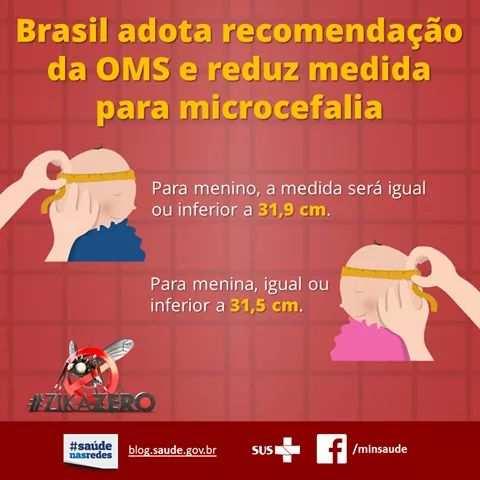 Informe Epidemiológico de Casos Notificados de Microcefalia. Bahia, 06.