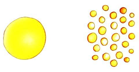 Etapas da digestão enzimática Saliva (ph = 7,0): Boca Ptialina (Amilase Salivar): amido dissacarídeos Suco Gástrico (ph = 2,0): Estômago