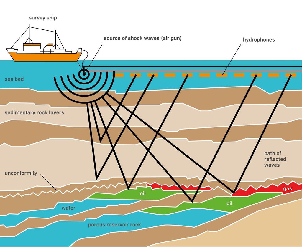 Seismic Imaging