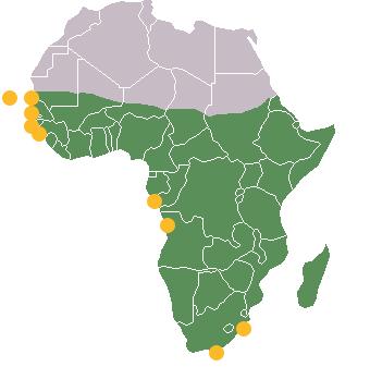 4. DESAFIOS: A CONECTIVIDADE Os principais portos da África para o Brasil - Durban, África do Sul - Port Elizabeth, África do Sul