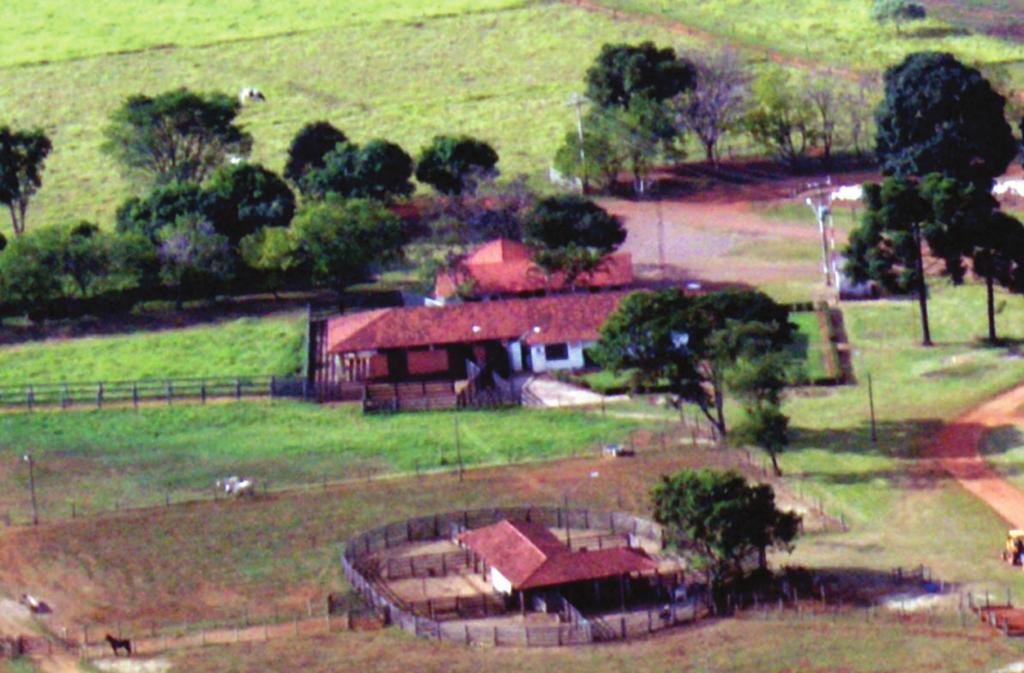 Foto: Claudio Bezerra Conservação ex situ in vivo Campo Experimental Fazenda Sucupira CEFS A Embrapa Recursos Genéticos e Biotecnologia mantém no Campo Experimental Sucupira alguns exemplares das