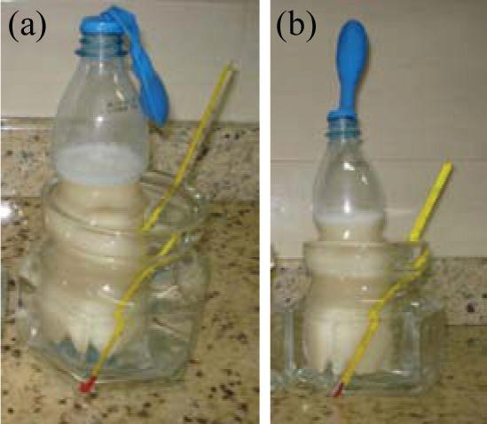 c) Agora que você já conhece a reação química de fermentação, vamos entender de que forma ela é utilizada pelas indústrias de alimento.