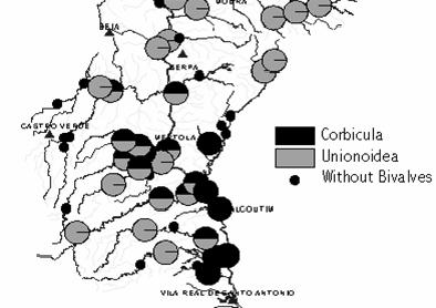 ENQUADRAMENTO Corbicula fluminea ESPÉCIE INTRODUZIDA Unio spp.