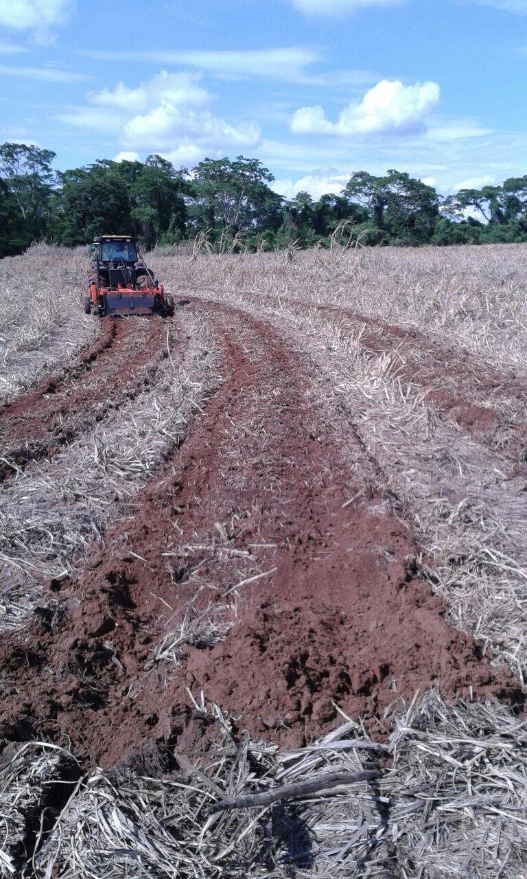 ESTRATÉGIAS E TECNOLOGIAS PARA REDUÇÃO DE CUSTOS PREPARO DO SOLO PREPARO DO SOLO Equipamentos Multifuncionais Elimina a soqueira, incorpora restos de cultura, destorroa o solo,