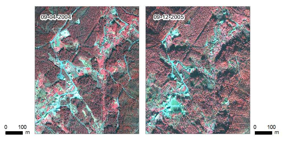 Figura 6. Diferenças fenológicas da vegetação do par de imagens IKONOS (RGB: 432), usados para a zona 1.