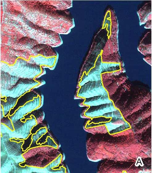 Mapa de referência de cortes para a imagem IKONOS Mapa de referência de cortes para a imagem Landsat Figura 21.