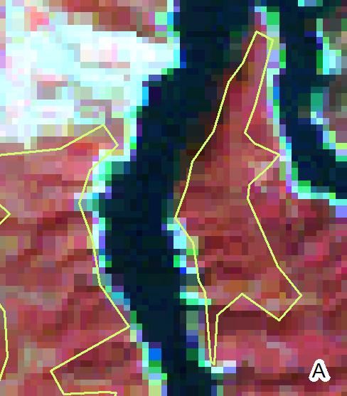 4.2.2 Landsat Para a imagem Landsat, foram também produzidos mapas de detecção automática de decréscimos de vegetação (cortes e fogos), cuja amostra se encontra na Figura 27.