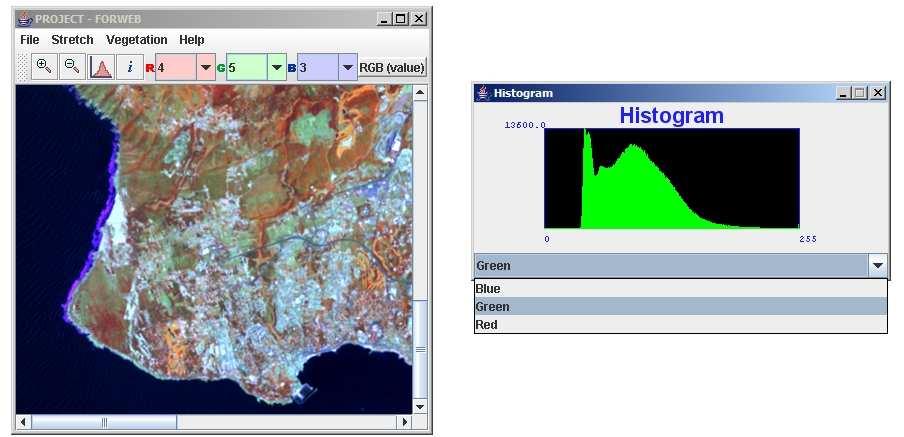 Figura 32. Visualização do histograma da banda 5 de uma imagem Landsat-7 ETM (453). 4.4.3 Menus Na aplicação FORWEB existem quatro menus disponíveis para o utilizador: 1. File; 2. Stretch; 3.