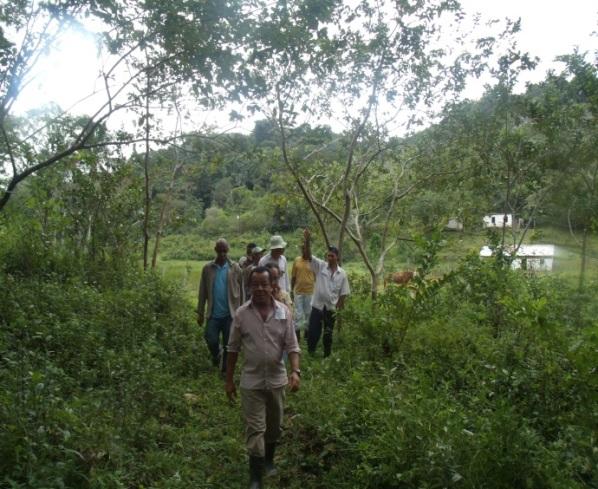 A realização da caminhada transversal percorreu o trajeto escolhido no interior do imóvel rural, objeto de interesse para financiamento.