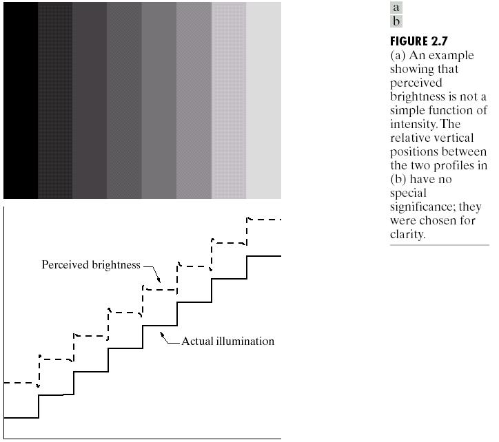 Discriminação de Intensidades 10 Brilho ou cor percebida não é somente uma função da intensidade Exemplo: Mach