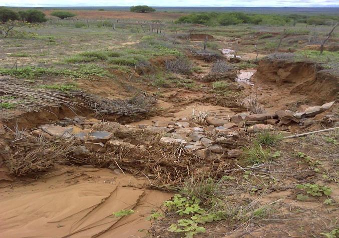 O escopo dos serviços de melhoria hidroambiental da bacia hidrográfica do rio Salitre envolve proteção de área de preservação permanente, conservação de solos, recuperação e estabilização de