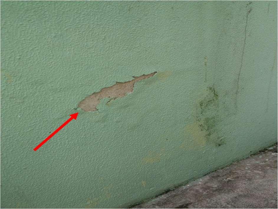 Incidência de Manifestações Patológicas em Edificações Residenciais na Região Metropolitana do Figura 3: Destacamento da pintura da fachada norte de uma edificação do condomínio A Também foi