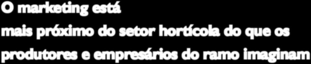 São ações que envolvem não só a promoção em grandes feiras ou investimentos pesados em propagandas, mas também a apresentação do produto no batepapo com o comprador.