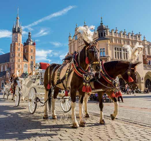 EUROPA ORIENTAL E O BÁLTICO EETTROHEL 21 JANTAR DE BOAS-VINDAS 64 DIA 1 Qui VIENA Chegada no aeroporto, traslado ao hotel e acomodação em Viena.