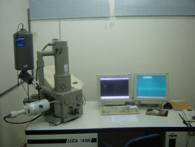96 morfologia foi utilizado o espectrômetro por energia dispersiva de raios X (EDS), em conjunto com o MEV, apresentando de forma qualitativa e semi-quantitativa a composição química dos produtos
