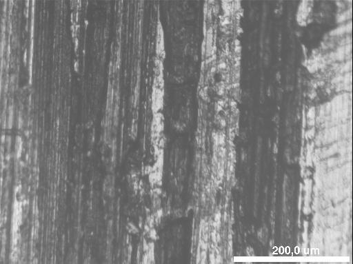 (a) (b) 200 µm 200 µm (c) (d) 200 µm 200 µm Figura 5.