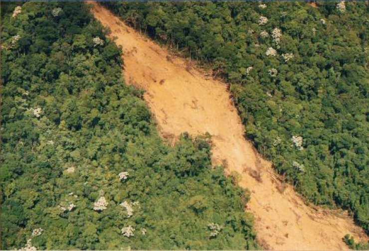 Foto Escorregamento da encosta cortada pela Estrada