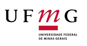 REALIZAÇÃO: Carlos Maurício Vieira Chefe do Departamento de Ciências Contábeis FACE/UFMG