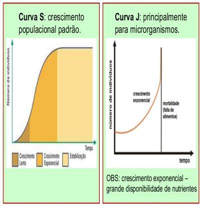 2) Restrição de alimento sem restrição de espaço AUMENTA A EMIGRAÇÃO.