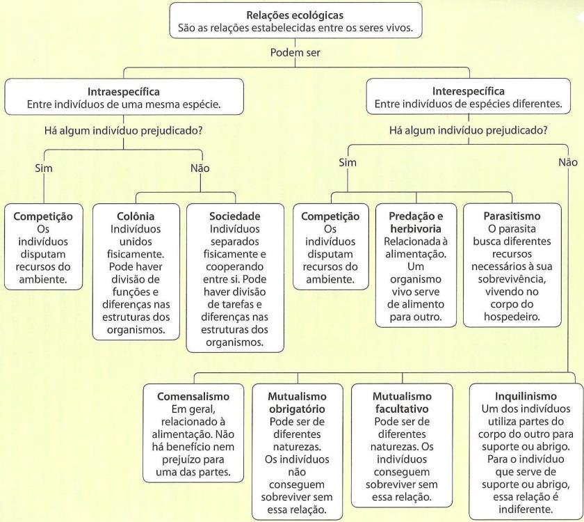 INTRAESPECÍFICAS: entre organismos da mesma