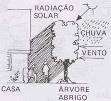 Em ecologia, preocupanos a função de protecção.