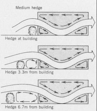 Efeitos de uma barreira arbustiva na ventilação de um edifício (II)