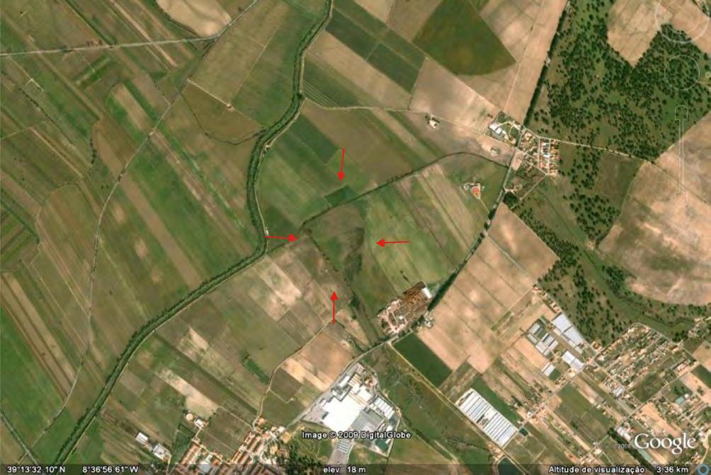 12 CIRA-ARQUEOLOGIA V Figura 2 Fotografia aérea do Alto dos Cacos. terreno, que as ocupações romano-republicanas e proto-históricas não são totalmente coincidentes.