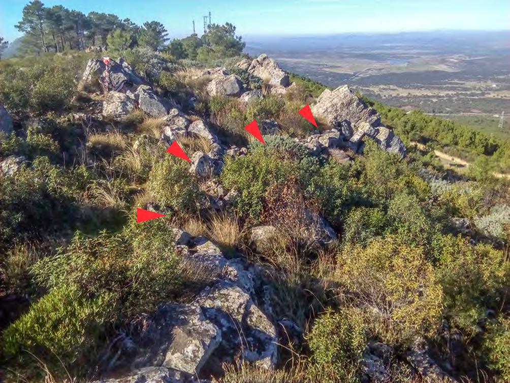 42 CIRA-ARQUEOLOGIA V Figura 9 Vestígios de estruturas defensivas no topo da Serra de Santa Marina.