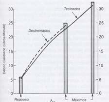 (renais) 10-Coração direito (atrío,ventrículo e cava) ADAPTAÇÃO CARDIOVASCULAR AO EXERCÍCIO DÉBITO CARDÍACO -As duas principais alterações cardiovasculares que ocorrem durante o exercício são