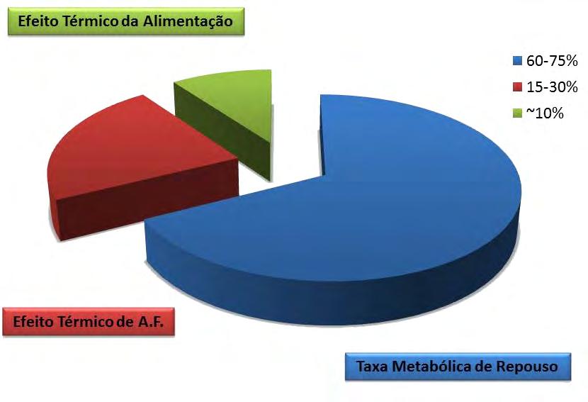 GASTO ENERGÉTICO NA ATIVIDADE FÍSICA O consumo ou dispêndio diário total de energia pode ser determinado