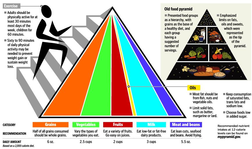 Figura 1 Minha Pirâmide