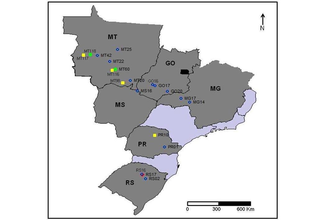 Brasil 0 300 600 Km Figura 1: Localização geográfica das amostras utilizadas para obter os isolados monolesionais de Phakopsora pachyrhizi. O ponto de coleta das amostras RS 16 e RS 17 são próximos.
