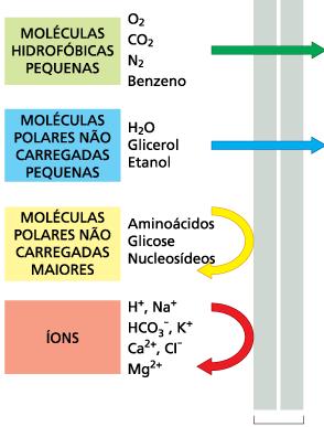 Afetada por: - substância