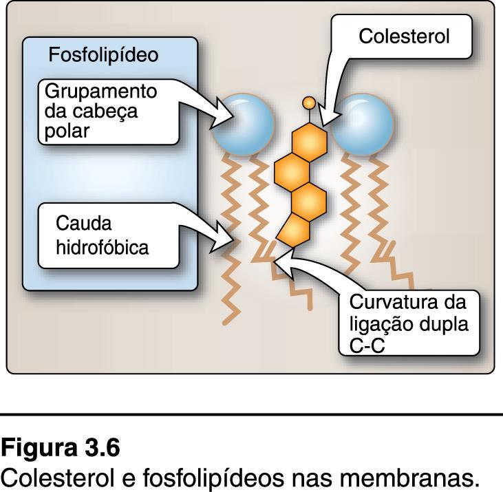 O que acontece ao colocar