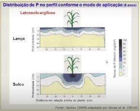 Manejo 4C: local de aplicação de P Fonte: