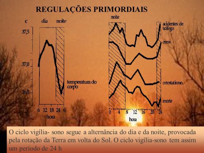 Muitos de nós já sabíamos e sentíamos tais interações mas a importância da ciência em comprovar tais evidências, abre muitas portas, inclusive para o tratamento de várias doenças e distúrbios que